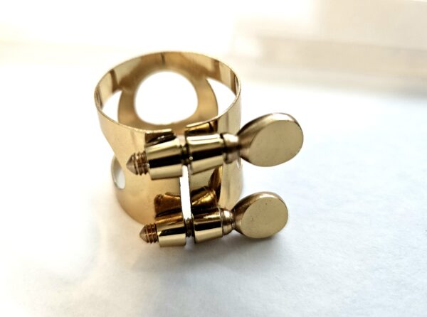 Rietbinder altsax metaal goud